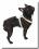De Luxe Hunde Leder--Geschirr Gr.2 verstellbar 48-57cm