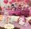 Fotohintergrund pink/Rosa Hunde