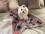 Hunde-Decke Kuscheldecke HEART GRAU ROT BLAU