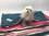 Hunde-Decke Kuscheldecke BONS Gr.M