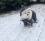 FROST Hunde Winteranzug, HundeWintermantel RESTPOSTEN