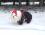 Hunde Winteranzug * LABEO *  RESTPOSTEN