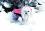 Hundemantel Hundejacke MERRY
