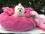 Hundebett DOGSZONE DONUT PINK  kuschelig