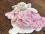 Hundebett SHEEP PINK inkl.Decke,Kissen ,Schnüffelteppich,Spielzeug