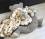 Hundebett Teddy braun /beige mit Decke,Kissen,Knochen