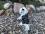 Hundejacke - Regenjacke TATZE LILA