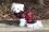 Hundepullover ,Swatshirt ,Kaputzenpulli SKULLY RED RESTPOSTEN