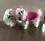 Katzen und Hunde OP Body Schutzhose PINK NEW