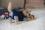 OP Body Hunde Body aus Baumwolle DARK BLUE