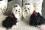 Hunde Party,Fest Kleid BEAUTY BELLA