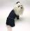 Pyjama  * DARKBLUE SILVERSTAR  für Hunde Restposten