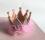Hunde Spange BIG Krone Rose Silber