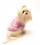 Hunde T-Shirt CROWN