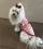Hunde T-Shirt Rosa Melone