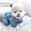 Hunde Winteranzug ,Jogginganzug „MY BLUE BABYDOG”