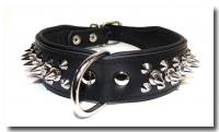Dieses Halsband wurde speziell f...