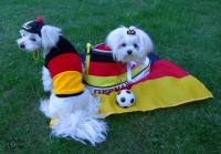Jogger für den HUND

Hunde Jog...