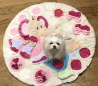 BÄR / ELEFANT Schnüffelteppich Spielteppich für Hunde,Katzen,Welpen