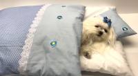 Hunde Bettdecke mit Kissen BLUE