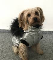 Dicke Hunde Winterjacke mit Fell SILVER