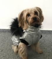 Hundejacke,Winterjacke  inkl. ab...