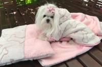 Doppelseitiger Bademantel für Hunde KNOCHEN ROSA