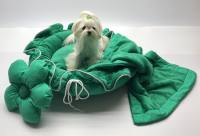 Hundebett FLOWER Limited Edition GREEN