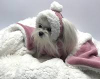 Hunde Bommelmütze ALTROSA-WEISS