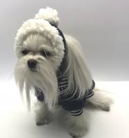 Hunde Bommelmütze DUNKLEBLAU-WEISS