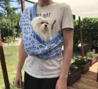 Hunde Tragetuch Blau mit Bällen