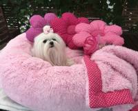 Hundebett DOGSZONE DONUT ROSA kuschelig HANDMADE