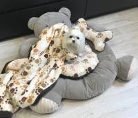 Hundebett Teddy braun /beige mit Decke,Kissen,Knochen