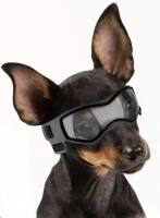 Hundebrille*LITTLE DOG*Black Gr.XS Mini Hunde