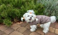 Hundejacke , Winterjacke ALASKA BROWN mit D-Ring