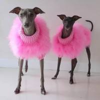 Hundepullover LUX PINK  mit Federn