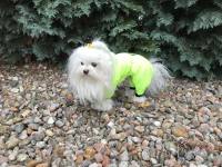 Netzanzug,Waldanzug,Schutzanzug,Wickelanzug Neon Yellow