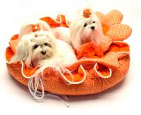Hundebett ORANGE FLOWER  Limited Edition