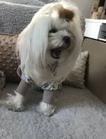 Pyjama Jogginganzug * TIERE *Hausanzug RESTPOSTEN