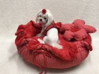 Hundebett RED FLOWER  Limited Edition Gr.2