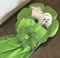 Hundebett RIESEN BLUME Handmade