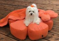 Hundebett RIESEN BLUME ORANGE Handmade