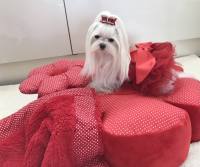 Hundebett RIESEN BLUME RED Handmade