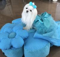 Hundebett RIESEN BLUME SKYBLUE Handmade