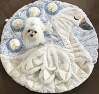 SCHWAN WHITE Schnüffelteppich Spielteppich für Hunde,Katzen,Welpen