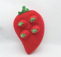 Hunde Schnüffelspiel BIG STRAWBEERY