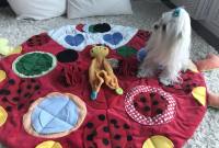 „MARIENKÄFER „Schnüffelteppich ,Spielteppich für Hunde,Katzen,Welpen