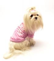 Hunde T-Shirt CROWN