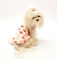 Hunde T-Shirt LOVELY ERDBEERE