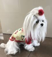 Hunde T-Shirt I LOVE CHERRY
